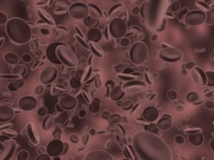 1153649_blood_cells.jpg