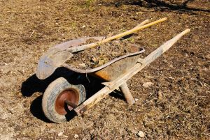 1175312_a_wheelbarrow_on_a_field.jpg