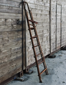 1326879_ladder_rungs_.jpg