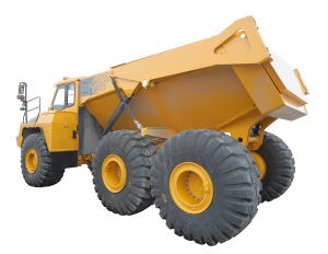 dumper-3-739942-m.jpg