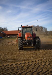 farmer-1179034-m.jpg